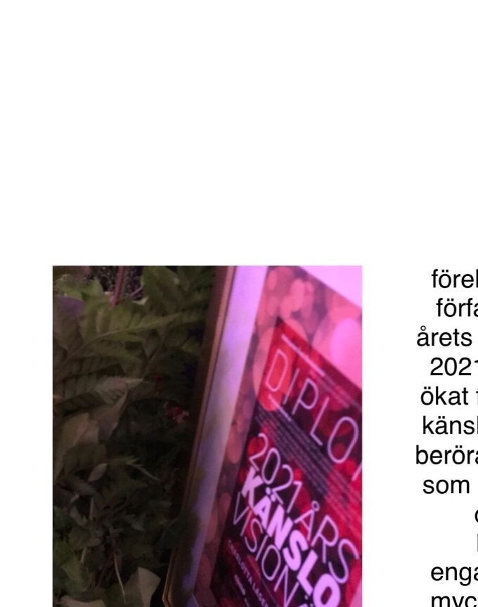 Årets känslovisionär 2021